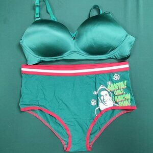Torrid bra and panty set green shiny bra 40D and Elf panties size 1 or 1X